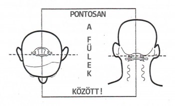 Amit tudnod kell a testedről: fej, nyak