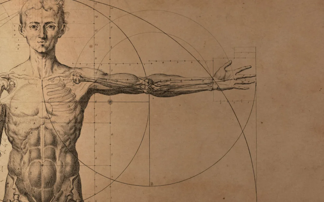 Az új anatómiai szemlélet és az Alexander-technika hatékonysága